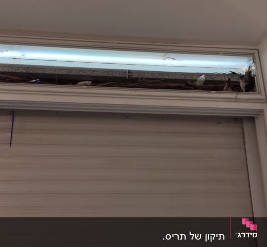 תריסים סגורים עם לכלוך וענפים מעליהם